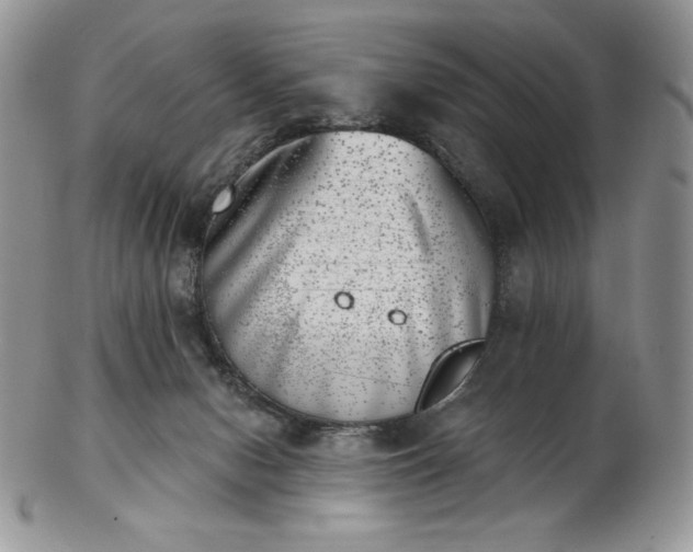 X0000102870078200808251251