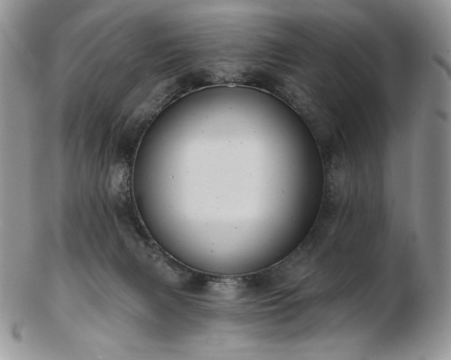 X0000102870079200808251251