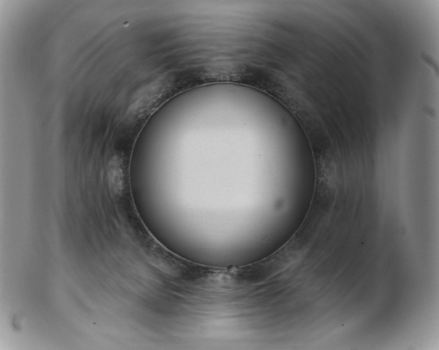 X0000102870080200808251251