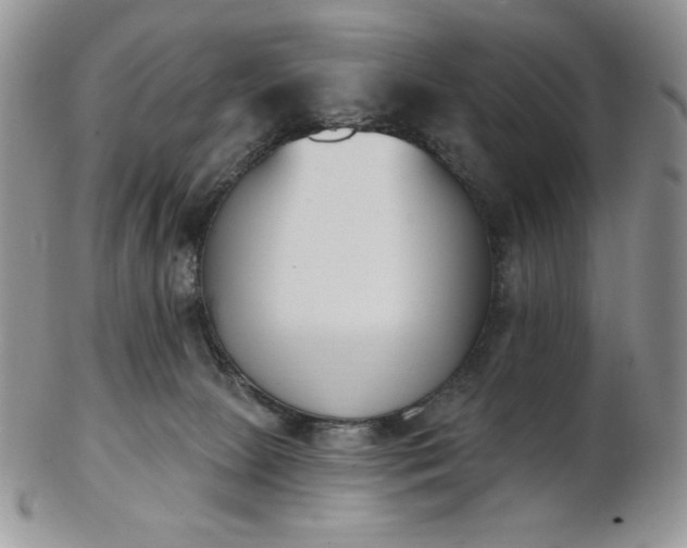 X0000102870081200808251251