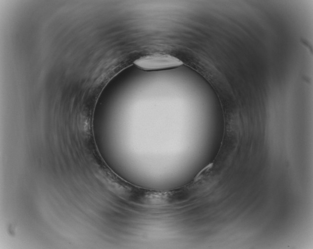 X0000102870084200808251251