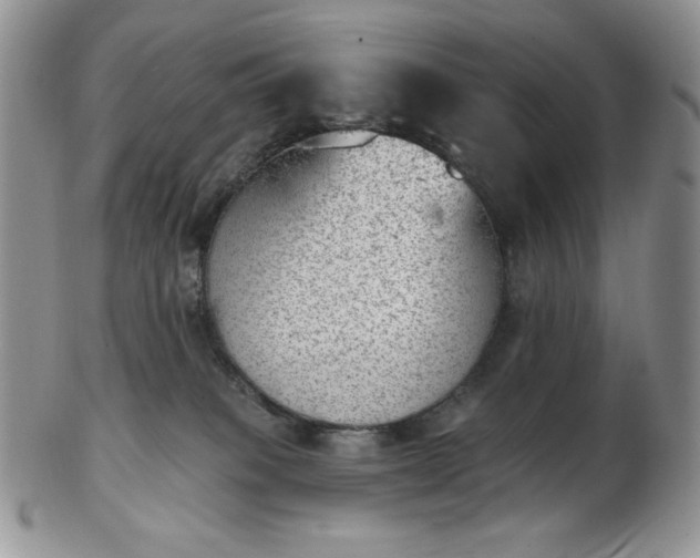 X0000102870085200808251251