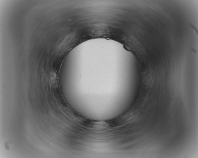 X0000102870087200808251251