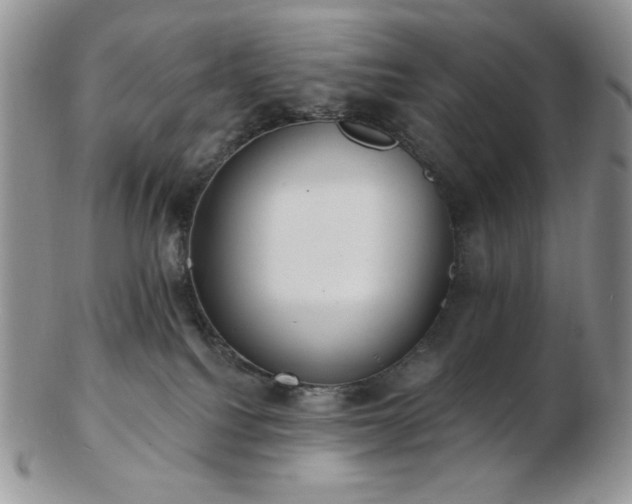 X0000102870088200808251251