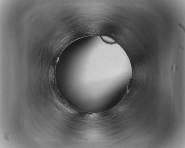 X0000102870092200808251251