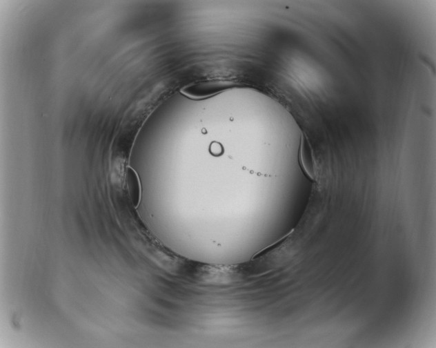 X0000102870093200808251251