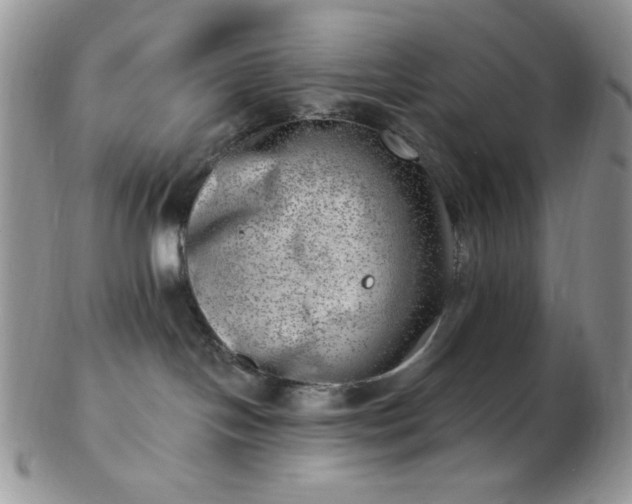 X0000102870094200808251251