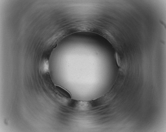 X0000102870095200808251251