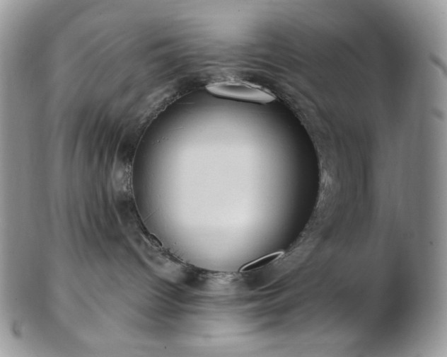 X0000102870096200808251251