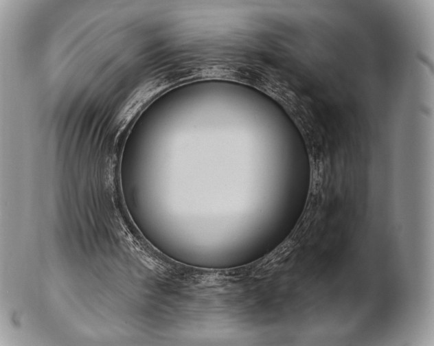 X0000102870098200808251250