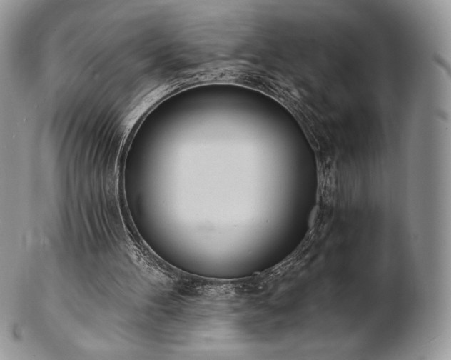 X0000102870100200808251250