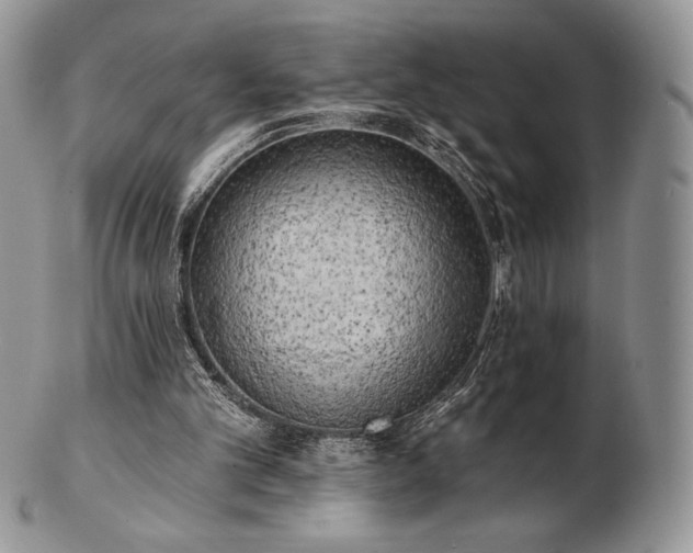 X0000102870101200808251250