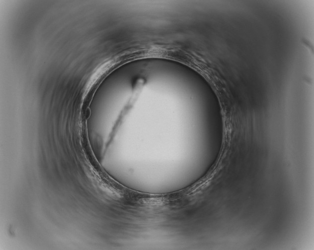 X0000102870102200808251250