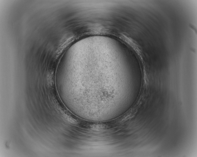 X0000102870105200808251250