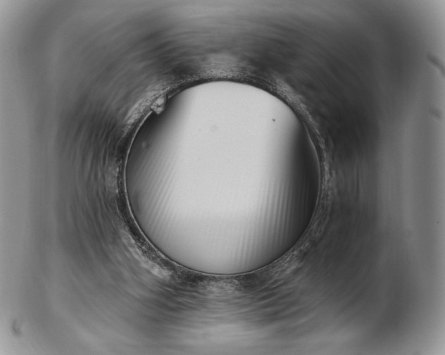 X0000102870106200808251250