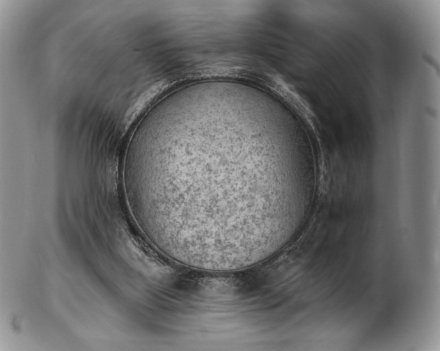 X0000102870107200808251250