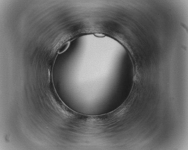 X0000102870109200808251250