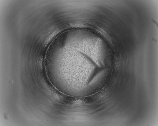 X0000102870111200808251250