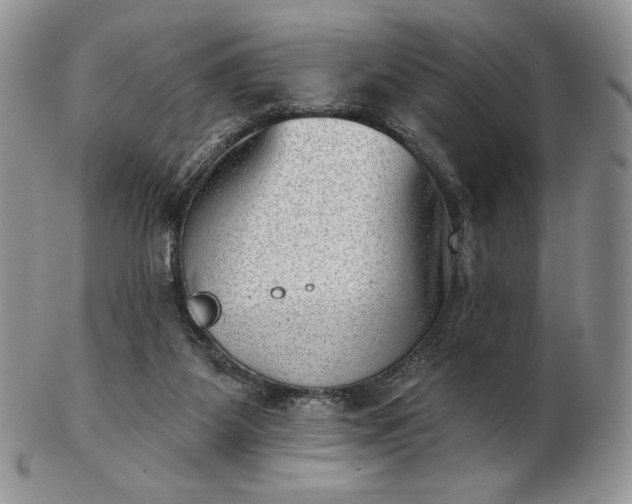 X0000102870115200808251250