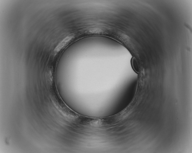 X0000102870116200808251250