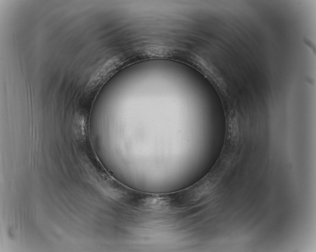 X0000102870117200808251250