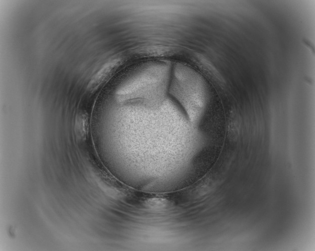 X0000102870119200808251250