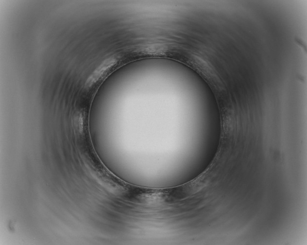 X0000102870120200808251250