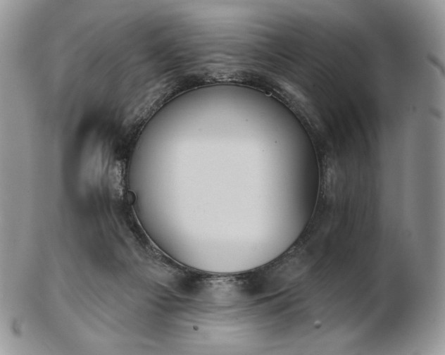 X0000102870121200808251250