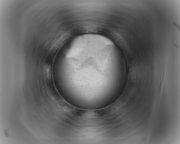 X0000102870123200808251250