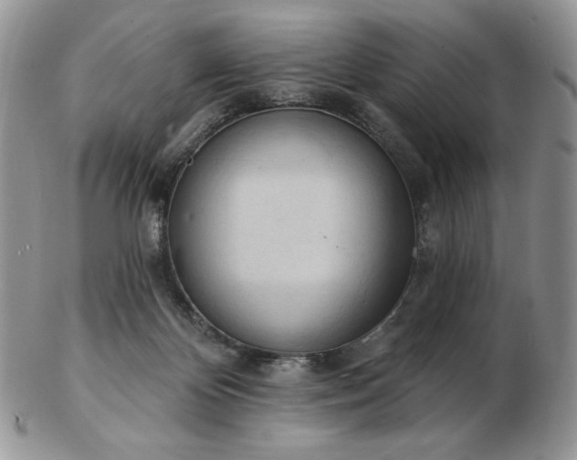 X0000102870124200808251250