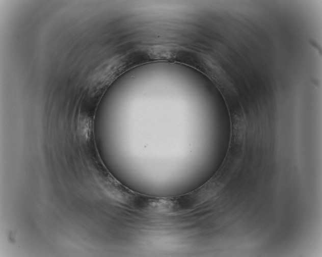 X0000102870125200808251250