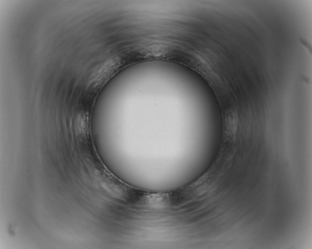 X0000102870126200808251250