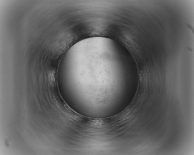 X0000102870127200808251250