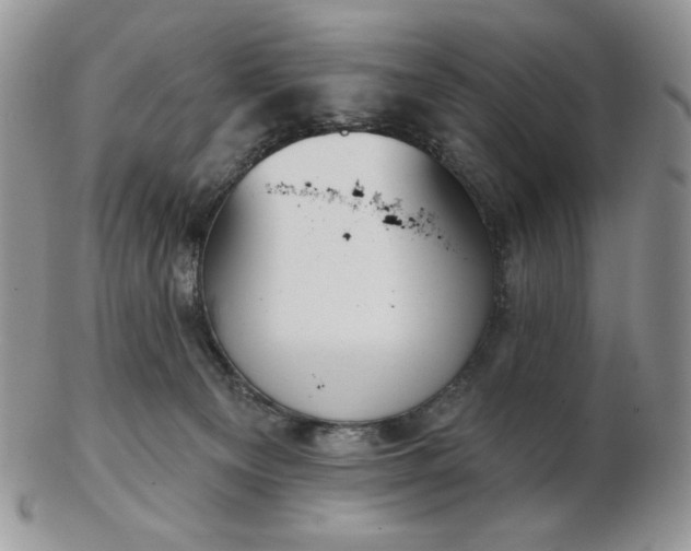 X0000102870129200808251250