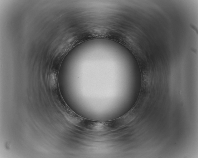 X0000102870130200808251250