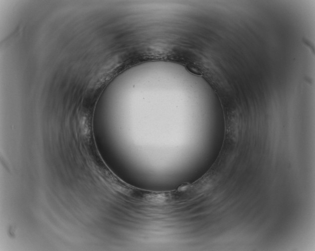 X0000102870131200808251250