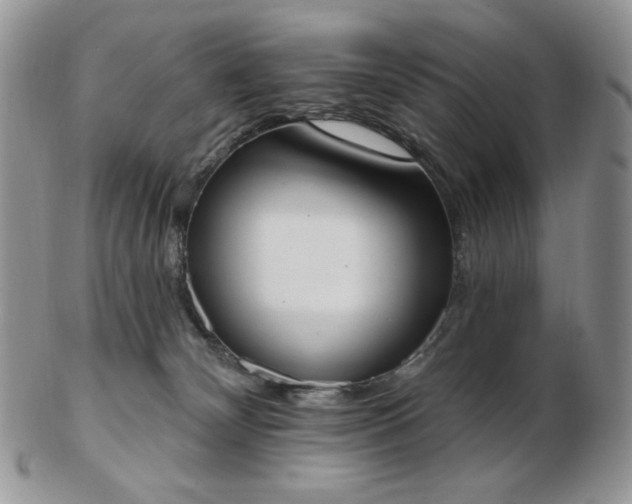 X0000102870132200808251250