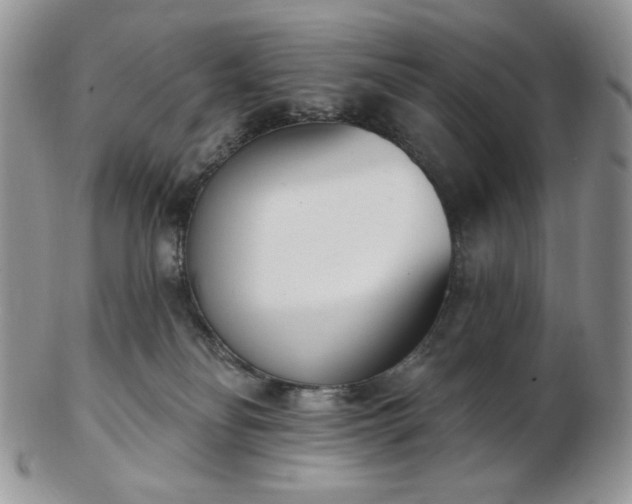 X0000102870134200808251250