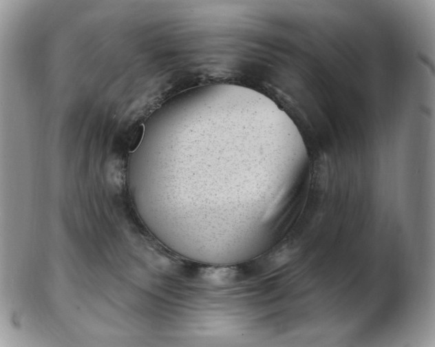 X0000102870135200808251250