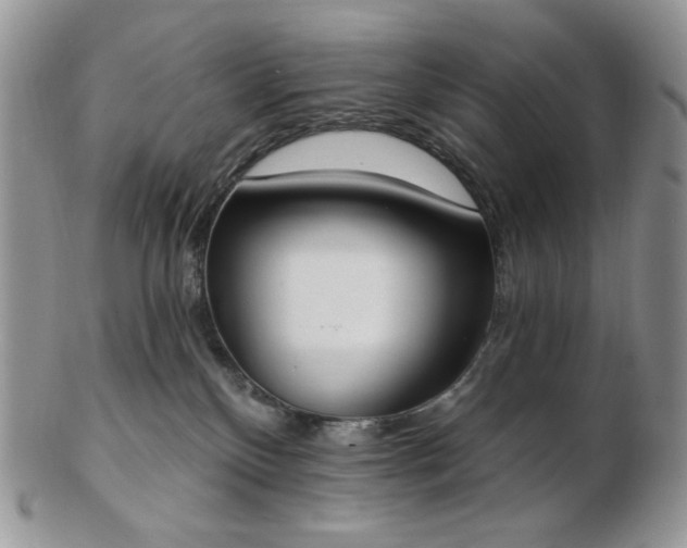 X0000102870136200808251250