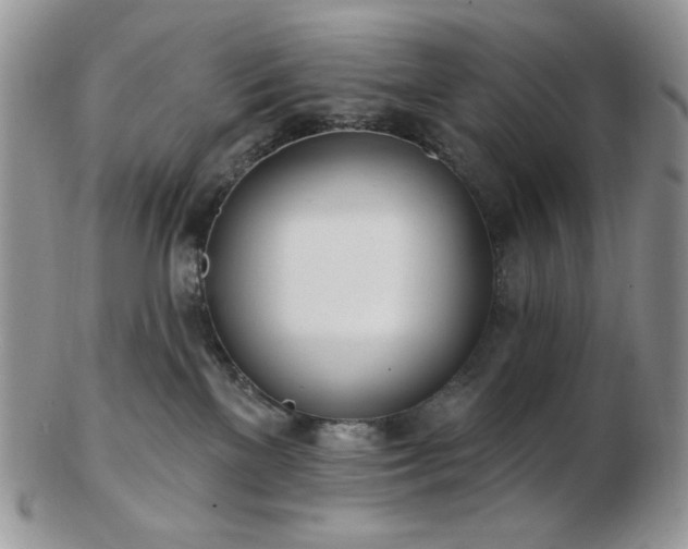 X0000102870137200808251250