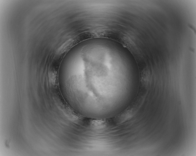 X0000102870139200808251250