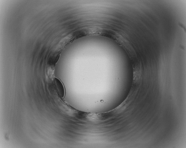 X0000102870142200808251250