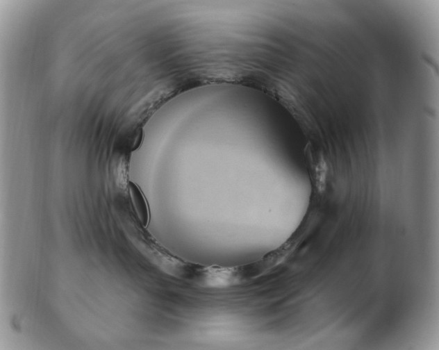 X0000102870143200808251250