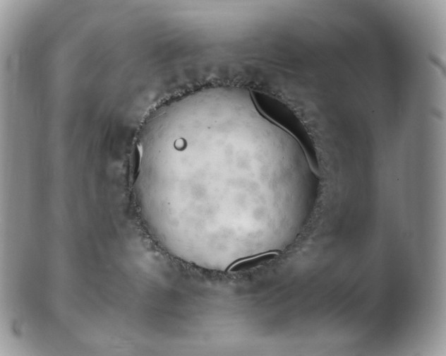 X0000102870144200808251250