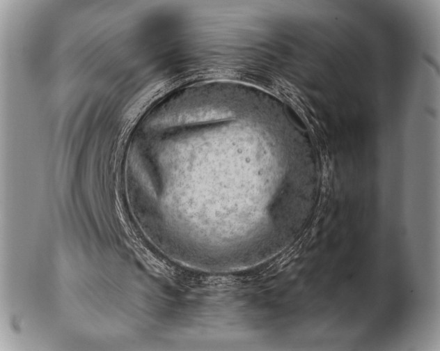 X0000102870145200808251249