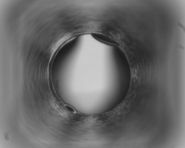 X0000102870148200808251249