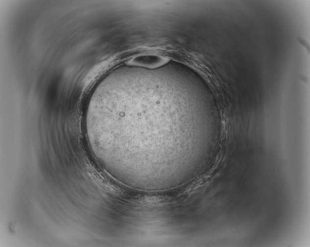 X0000102870149200808251249