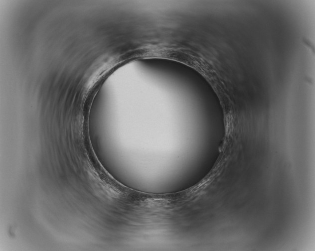 X0000102870150200808251249