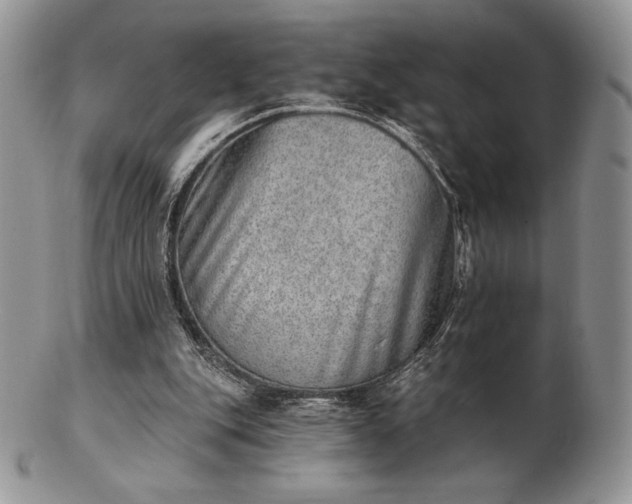 X0000102870151200808251249